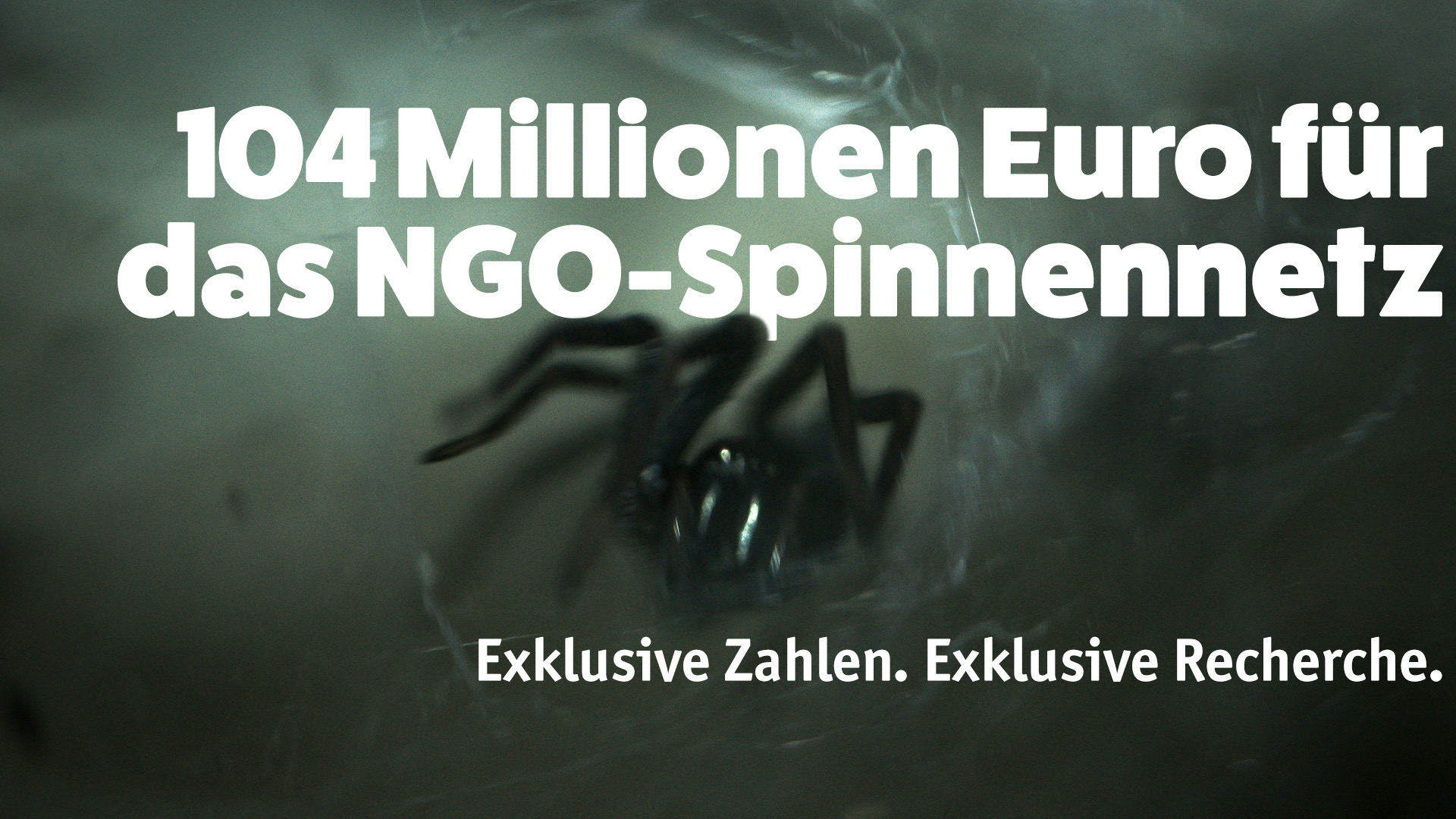 Sachsen-Anhalt: NGO-Komplex unter Druck